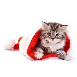 🎅