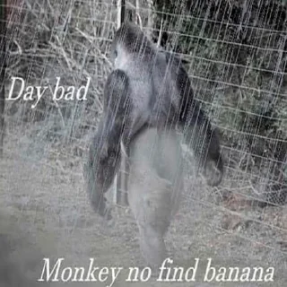 Monke