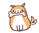 🐶