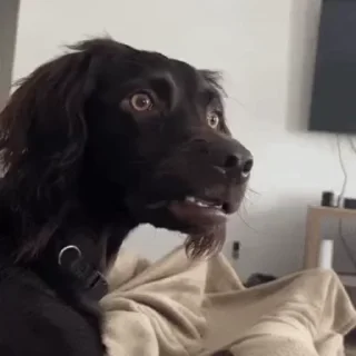 😲