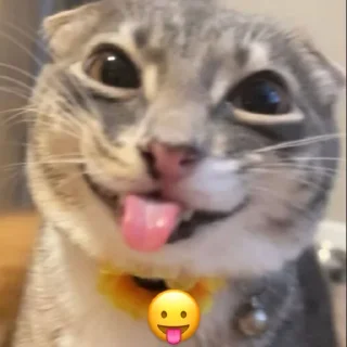 😛