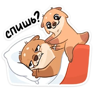 😴