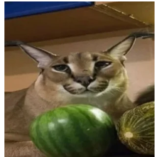 😀