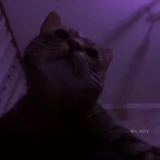 😄