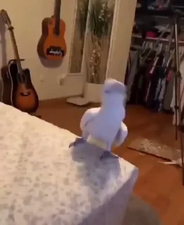 😇