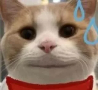 😅