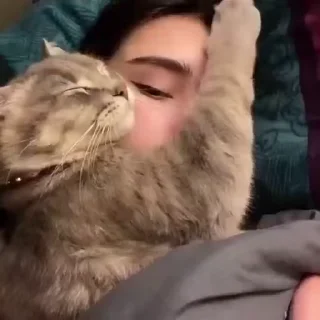 🐾