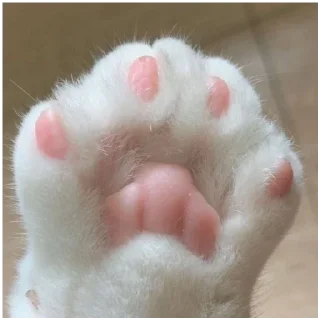 💟