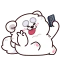 ✌️