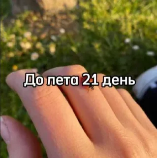 ☀️