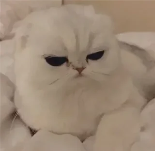 😐