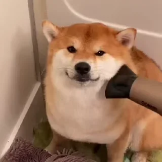 🙂