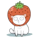 🍓