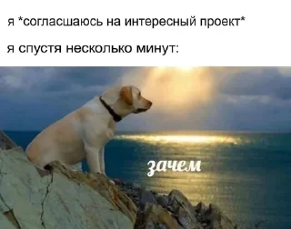 🌟