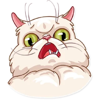 🙀