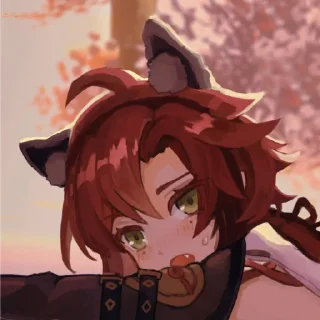 🙀