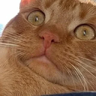 😨