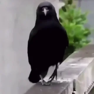 😌