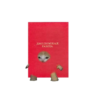 📑