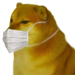 😷