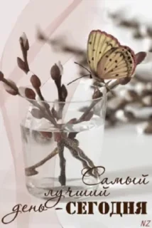 🌷