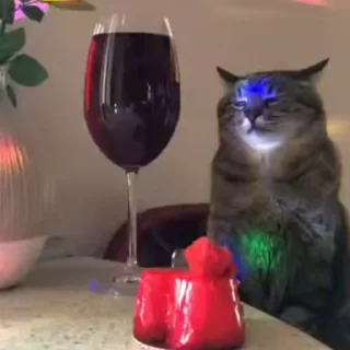 🍷