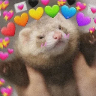 ❤️