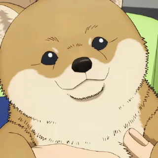 🐶