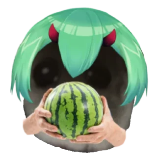 🍉