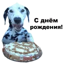 🎂