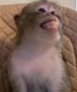 😃