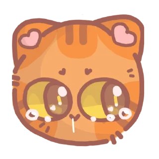 ✨