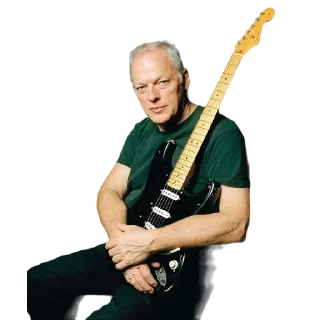 🎸
