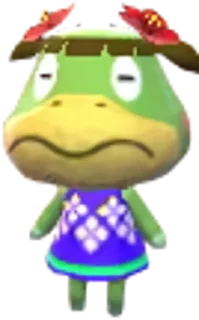 🐢