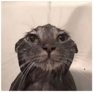 💦