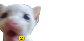 😮