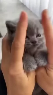 🥰