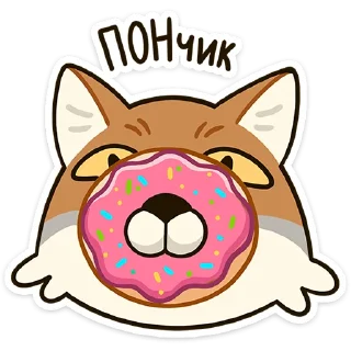🍩