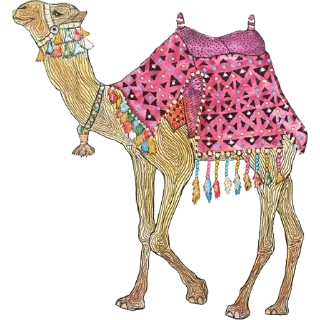 🐫