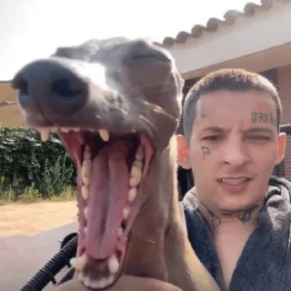Банданеры I