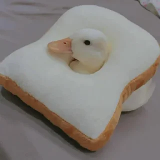 😴