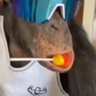 🥶