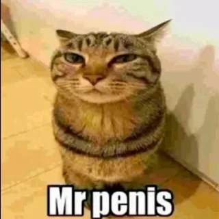🤔