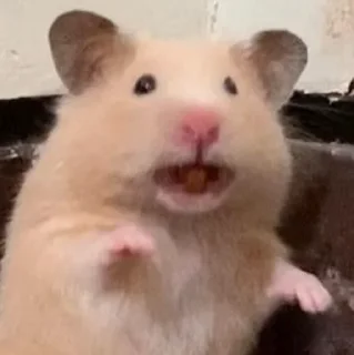 😧