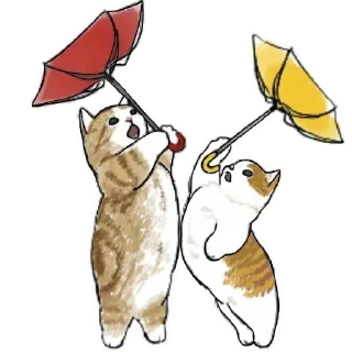 🌂