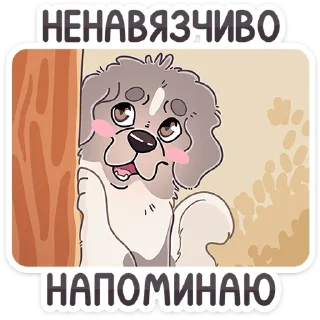 🐶