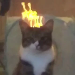 🔥