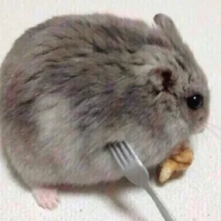 😵