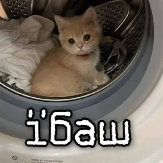 😭