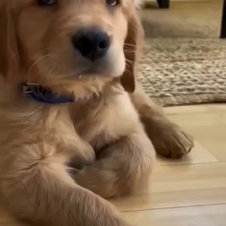 😥
